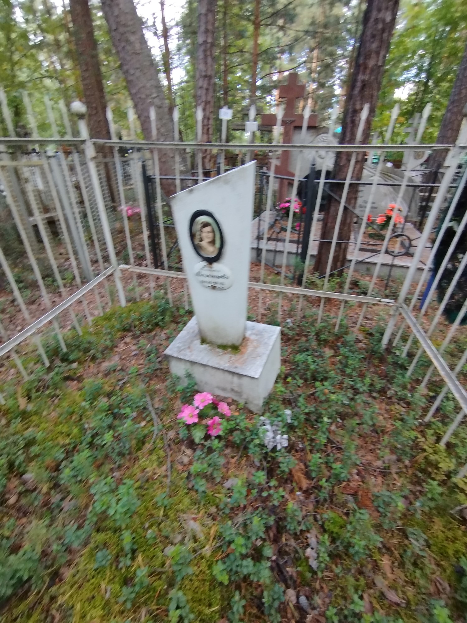 Мезенцова Анна Романовна