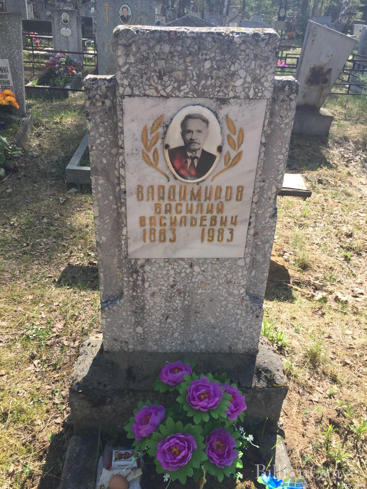 Владимиров Василий Васильевич