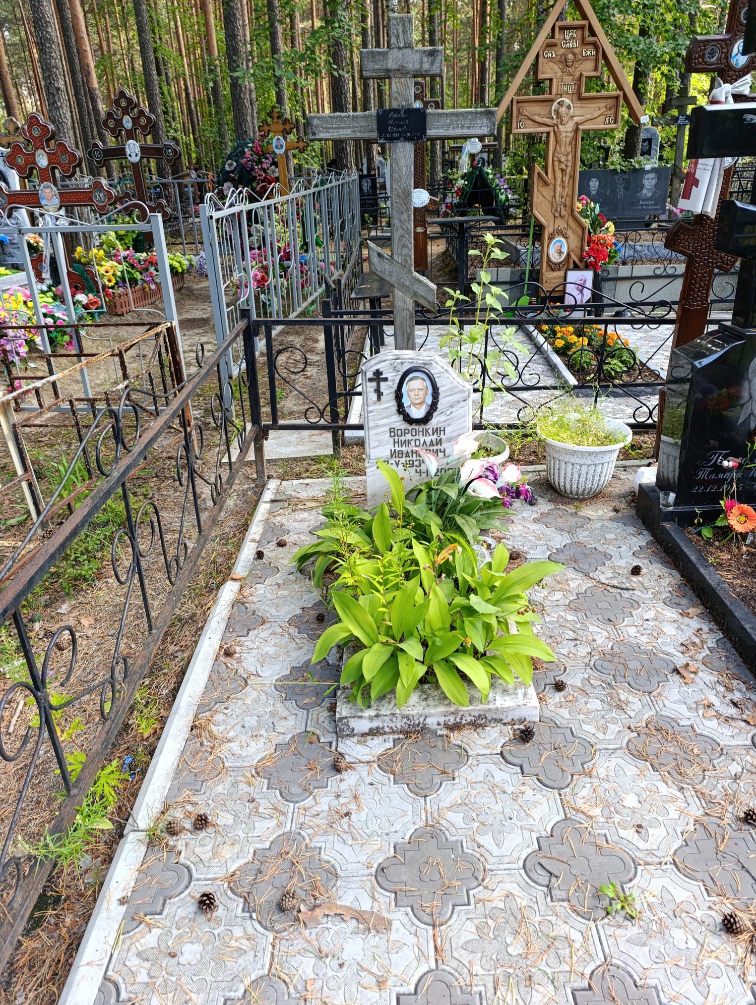 Вороникн Николай Иванович