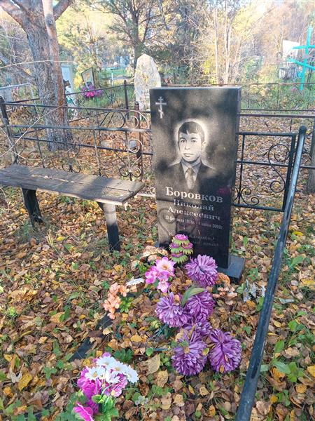 Боровков Николай Алексеевич