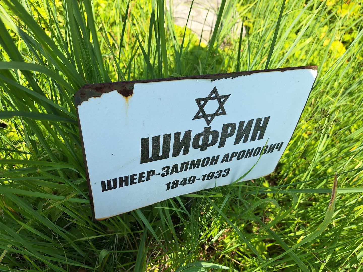 Шнеер-Залмон Шифрин Аронович