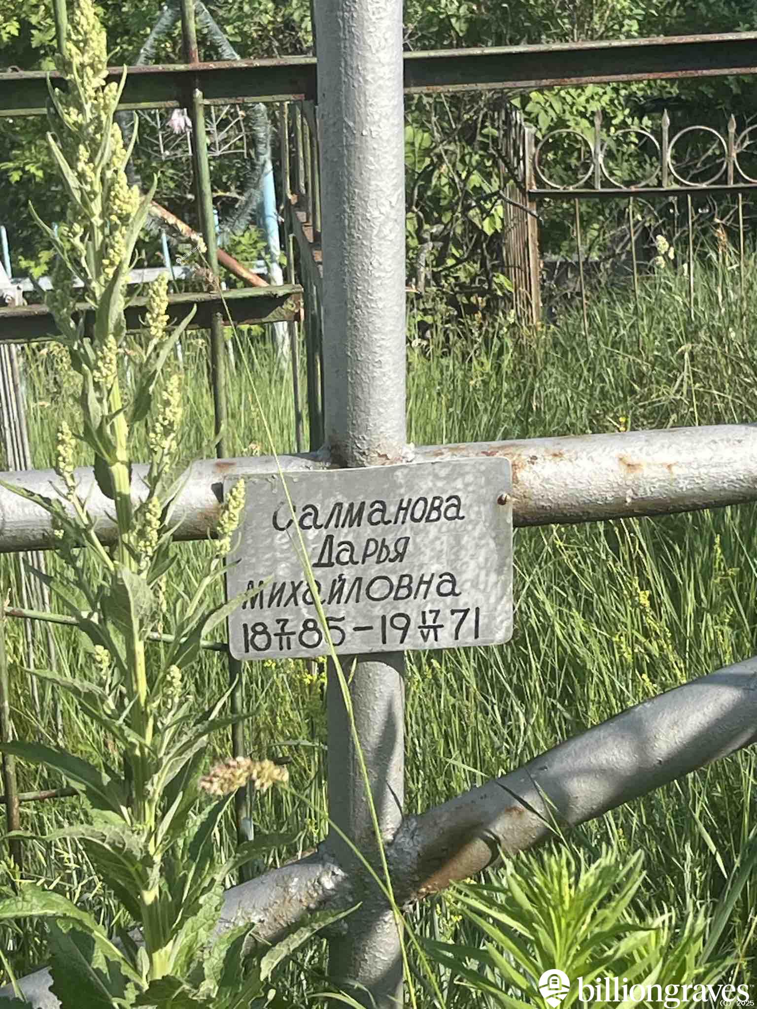 Салманова Дарья Михайловна