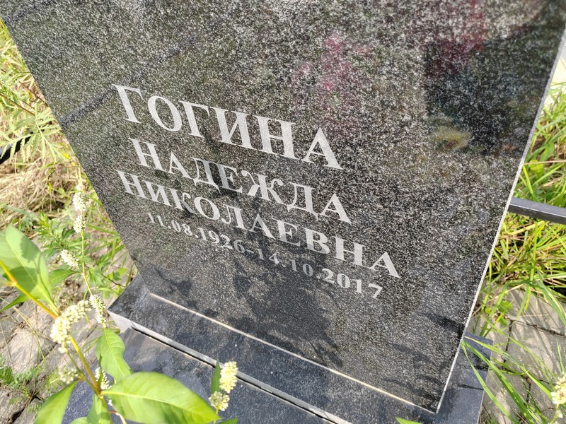 Гогина