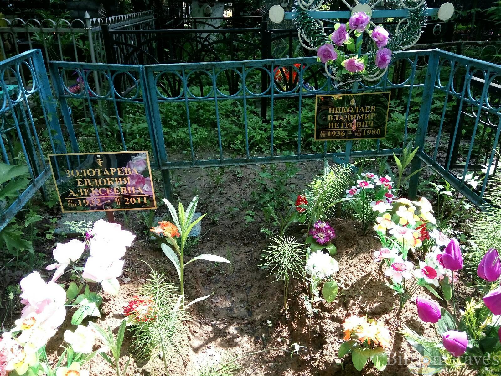 Золотарева Евдокия Алексеевна