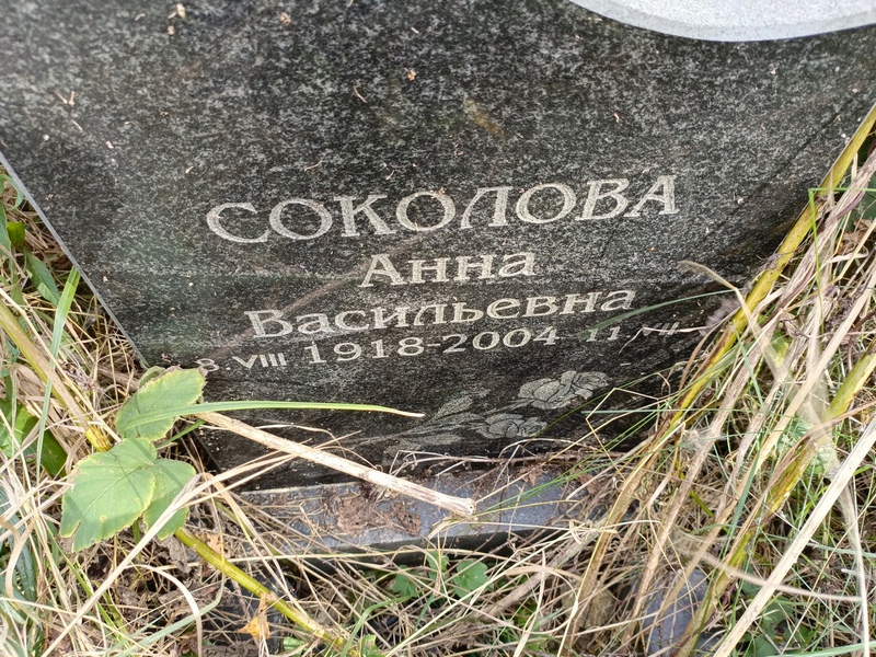 Соколова