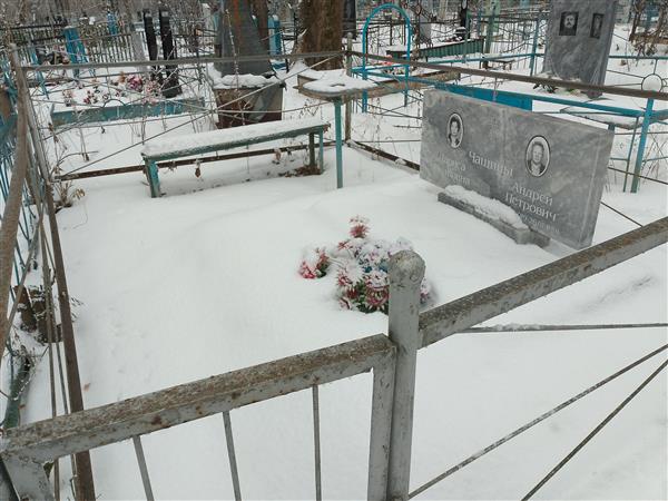 Чащин Андрей Петрович