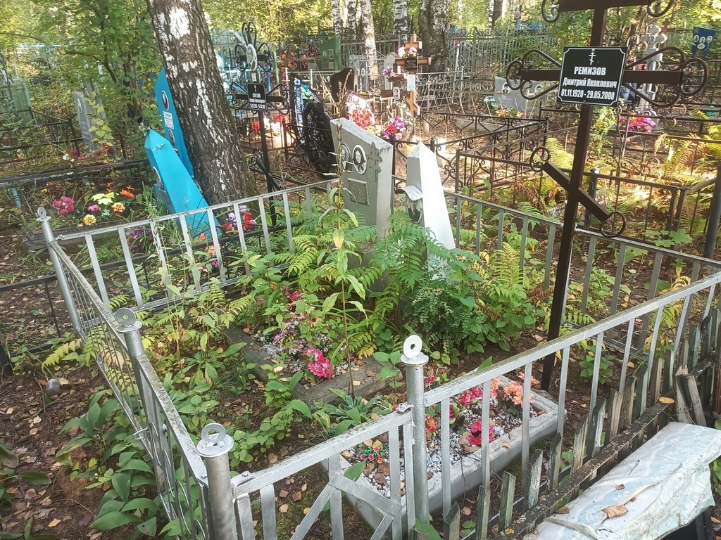 Ремизов Дмитрий Яковлевич