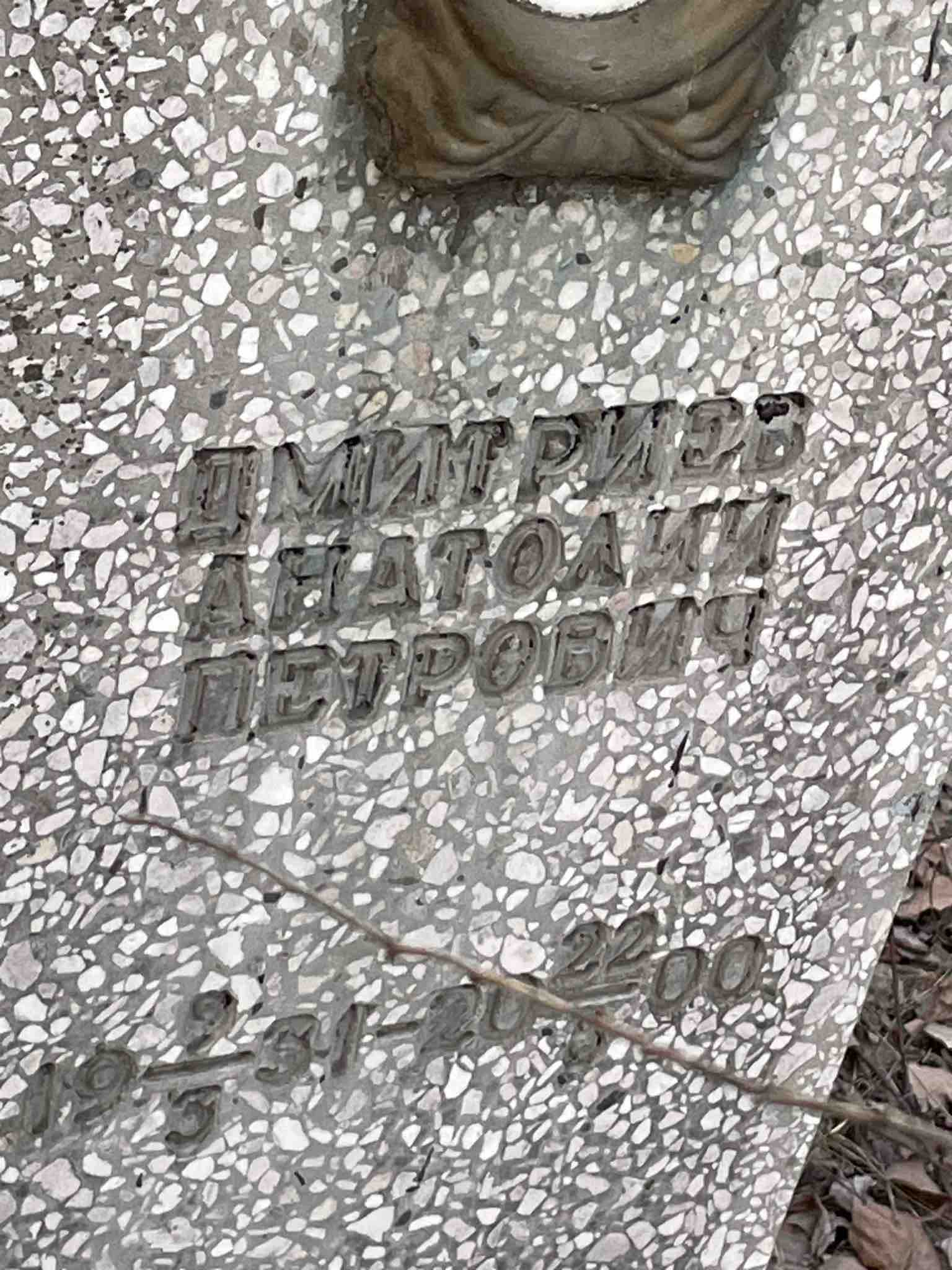 Дмитриев Анатолий петрович