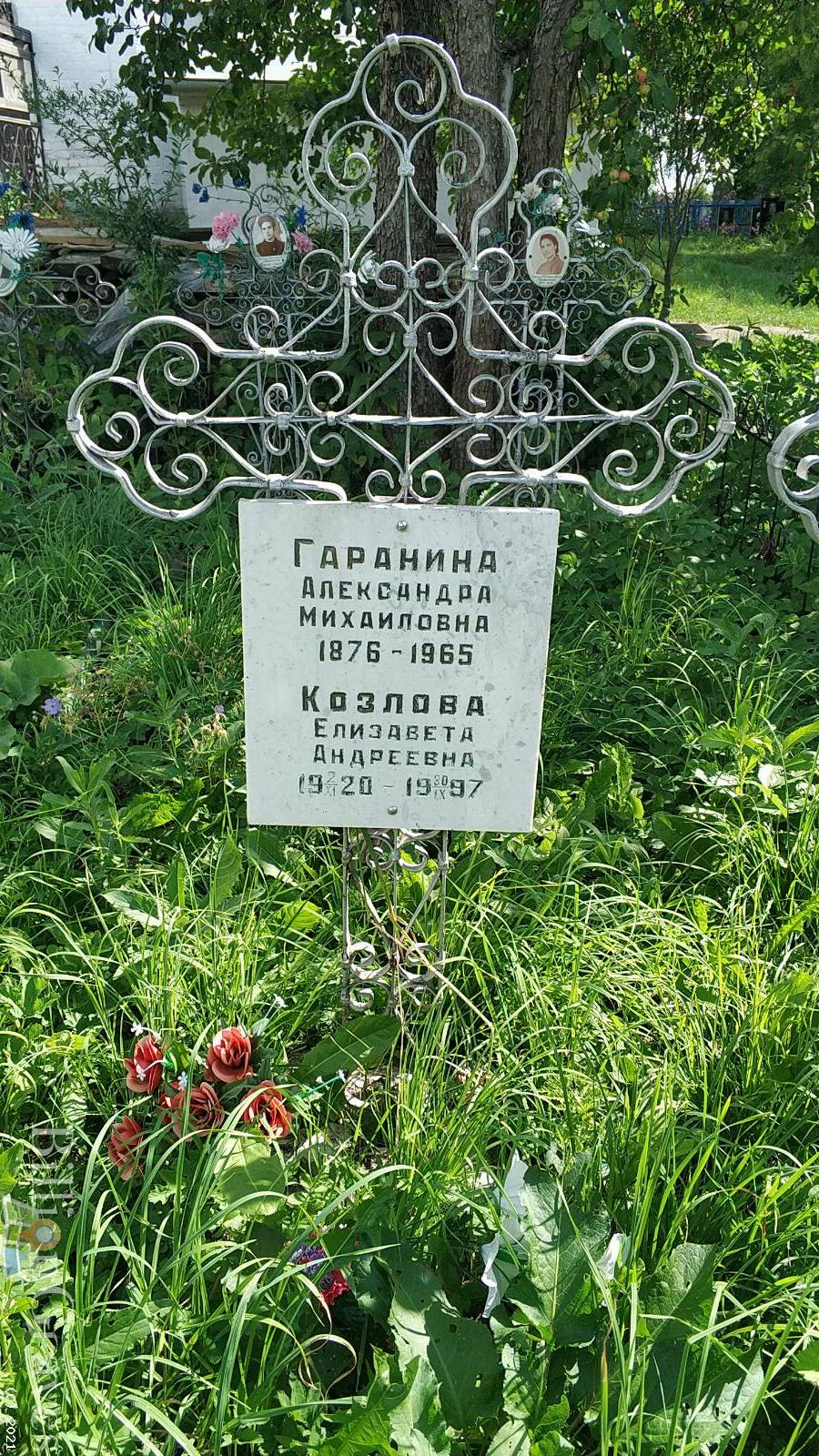 Козлова Елизавета Андреевна