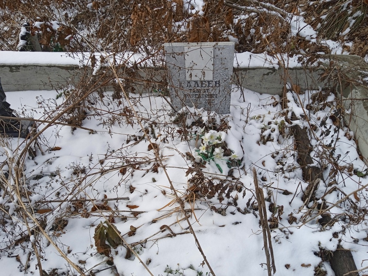 Алеев Талгат Фаргатович