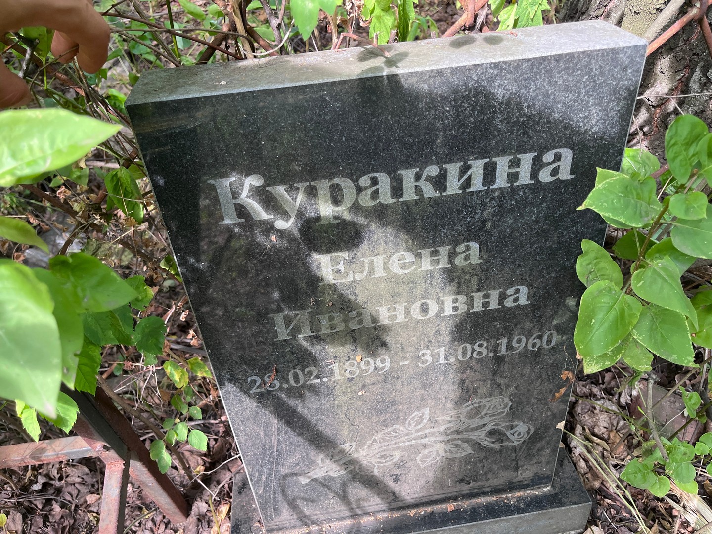 Куракина