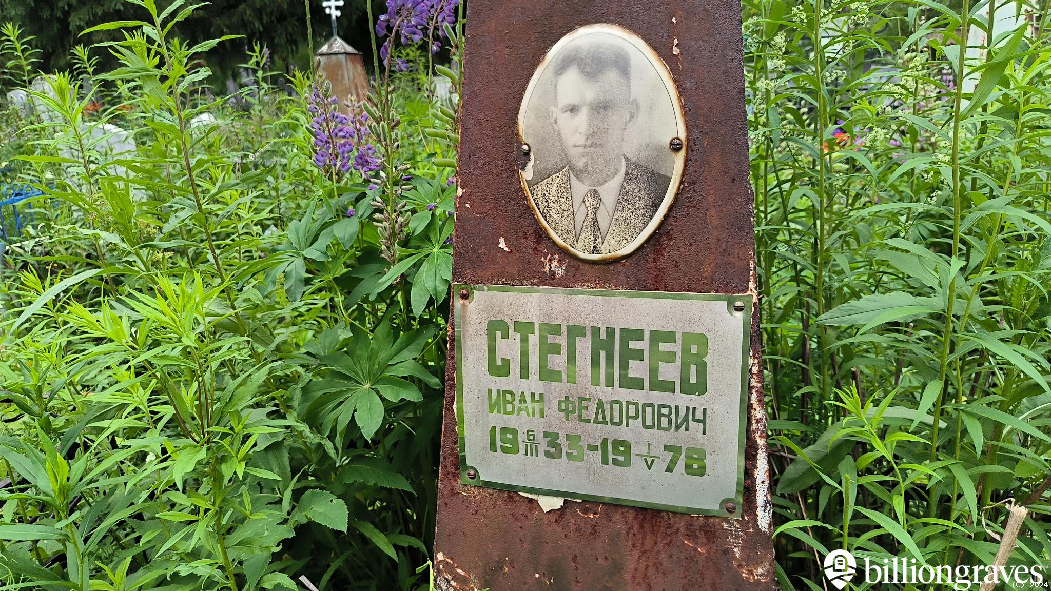 Стегнеев Иван Федорович