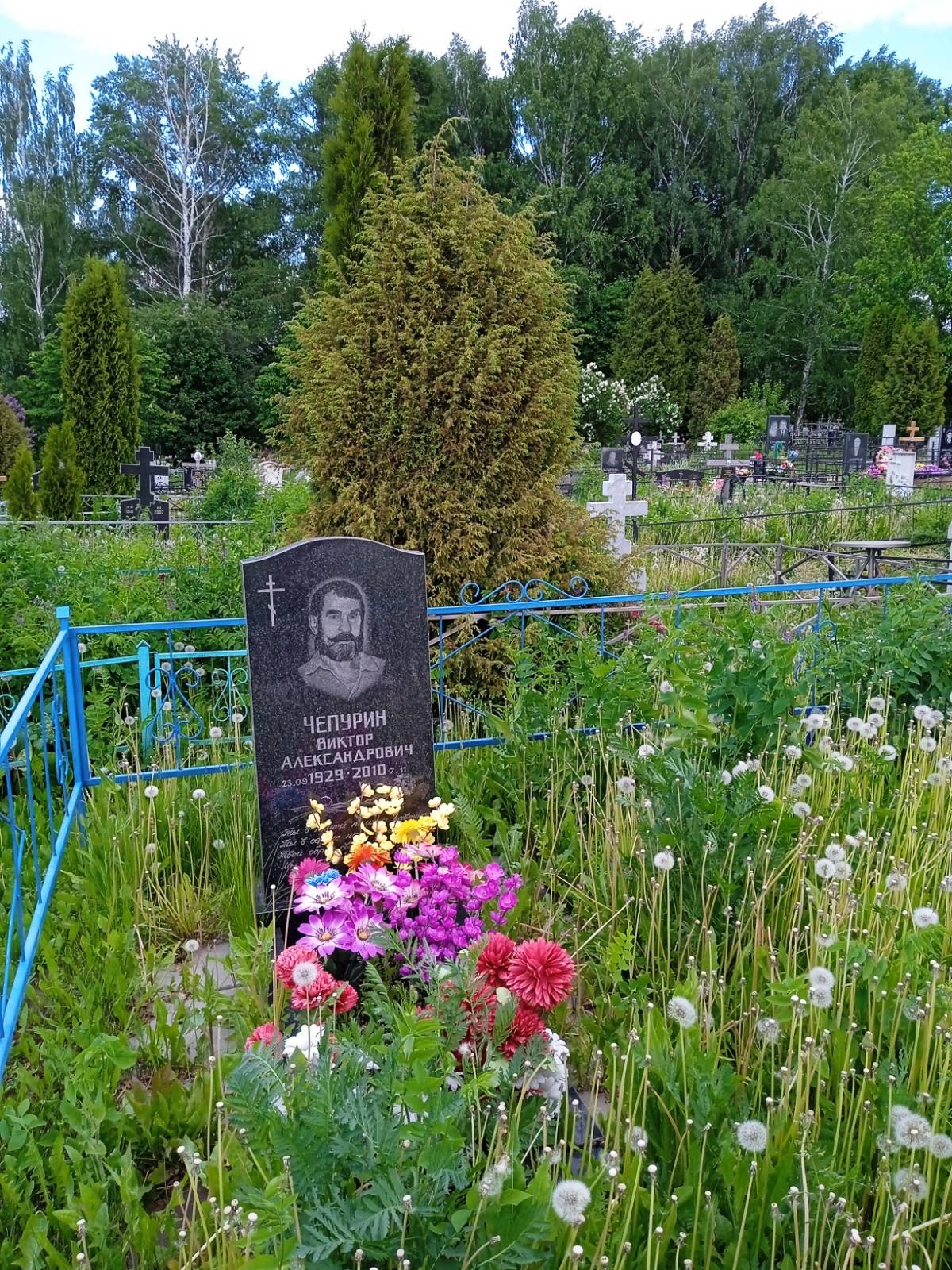 Чепурин Виктор Александрович