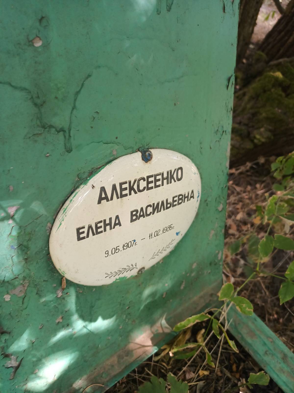 Алексеенко Елена