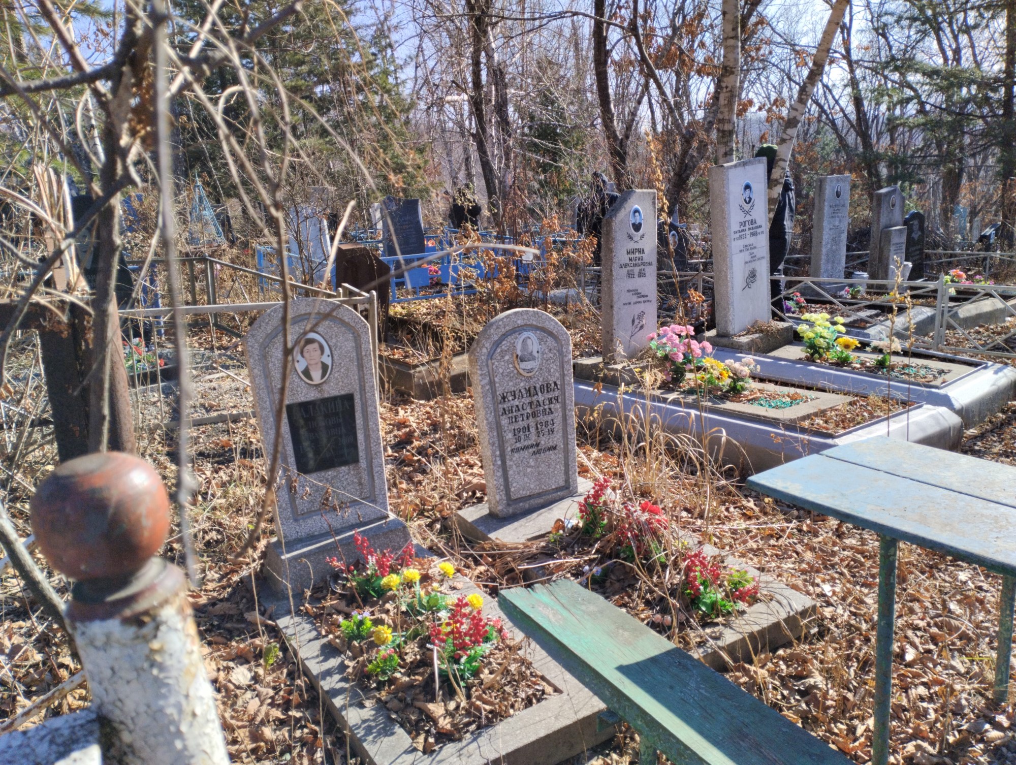 Жулидова Анастасия Петровна