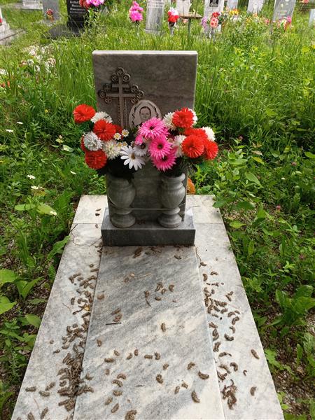 Немтырева Анна Ивановна