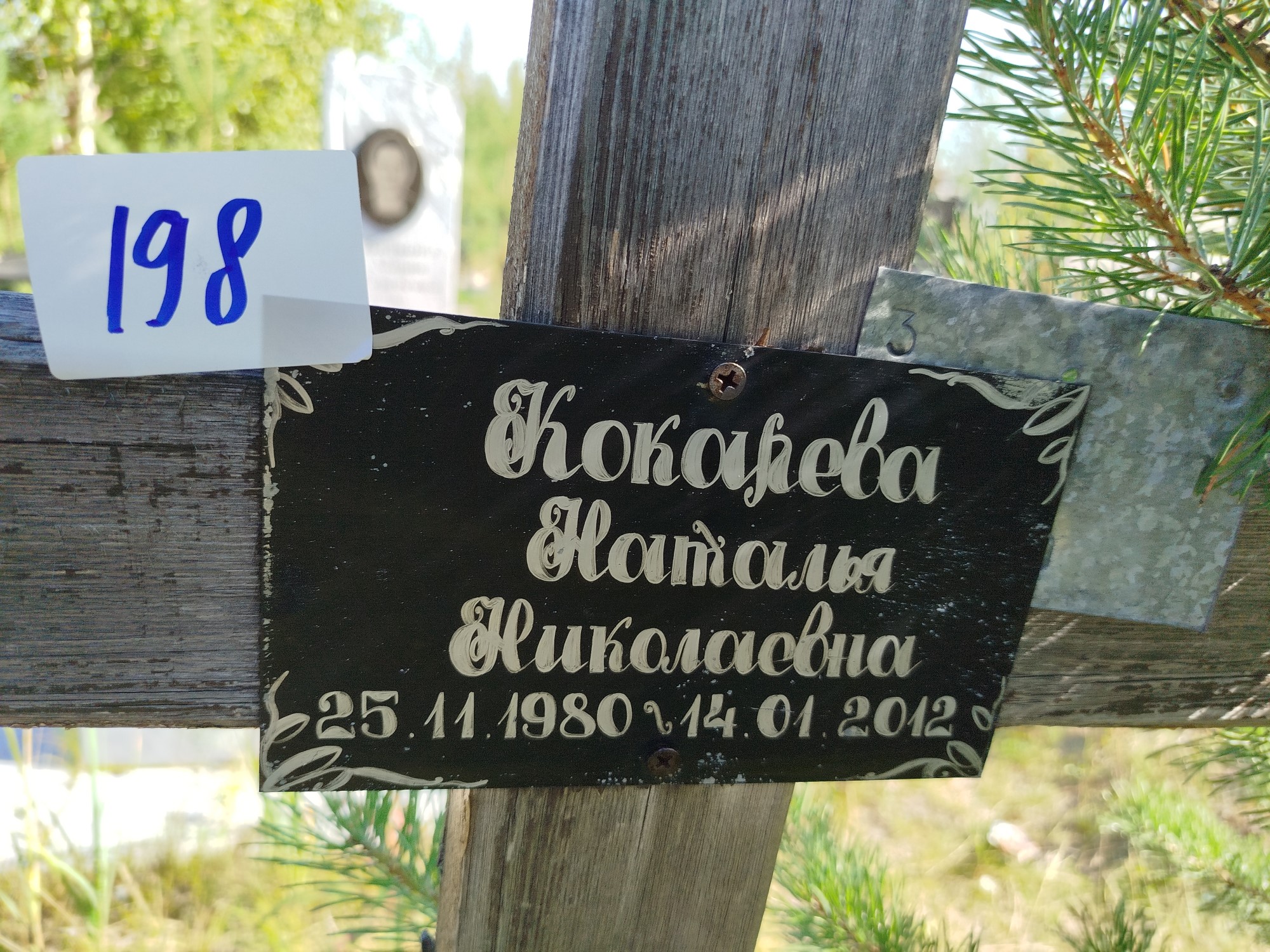 Кокарева Наталья Николаевна