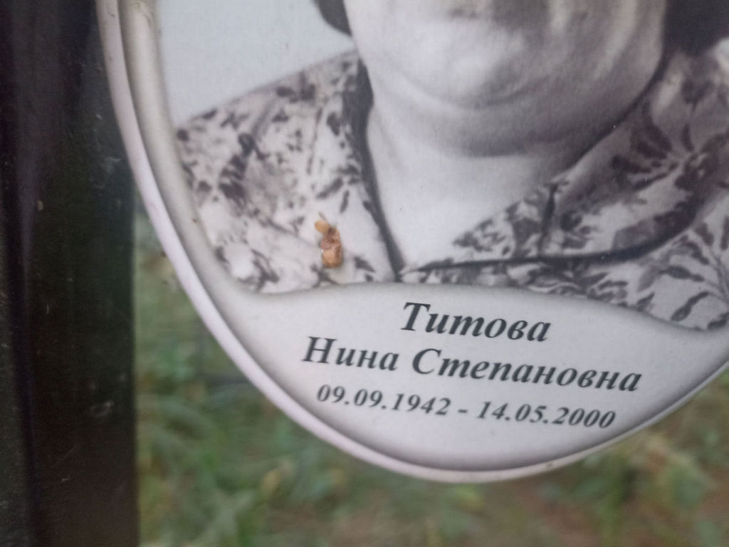 Титова Нина Степановна