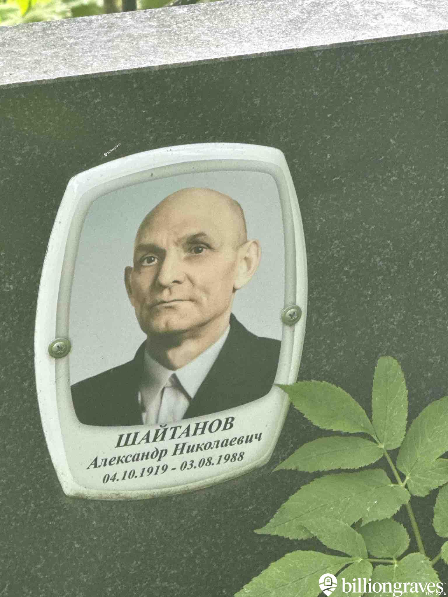 Шайтанов Александр Николаевич