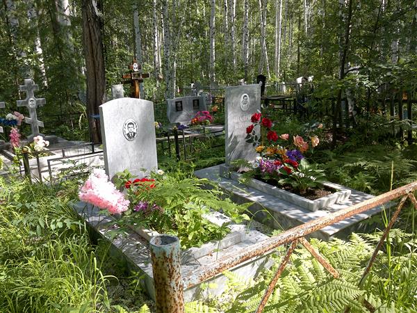 Шадри Владимир Андреевич
