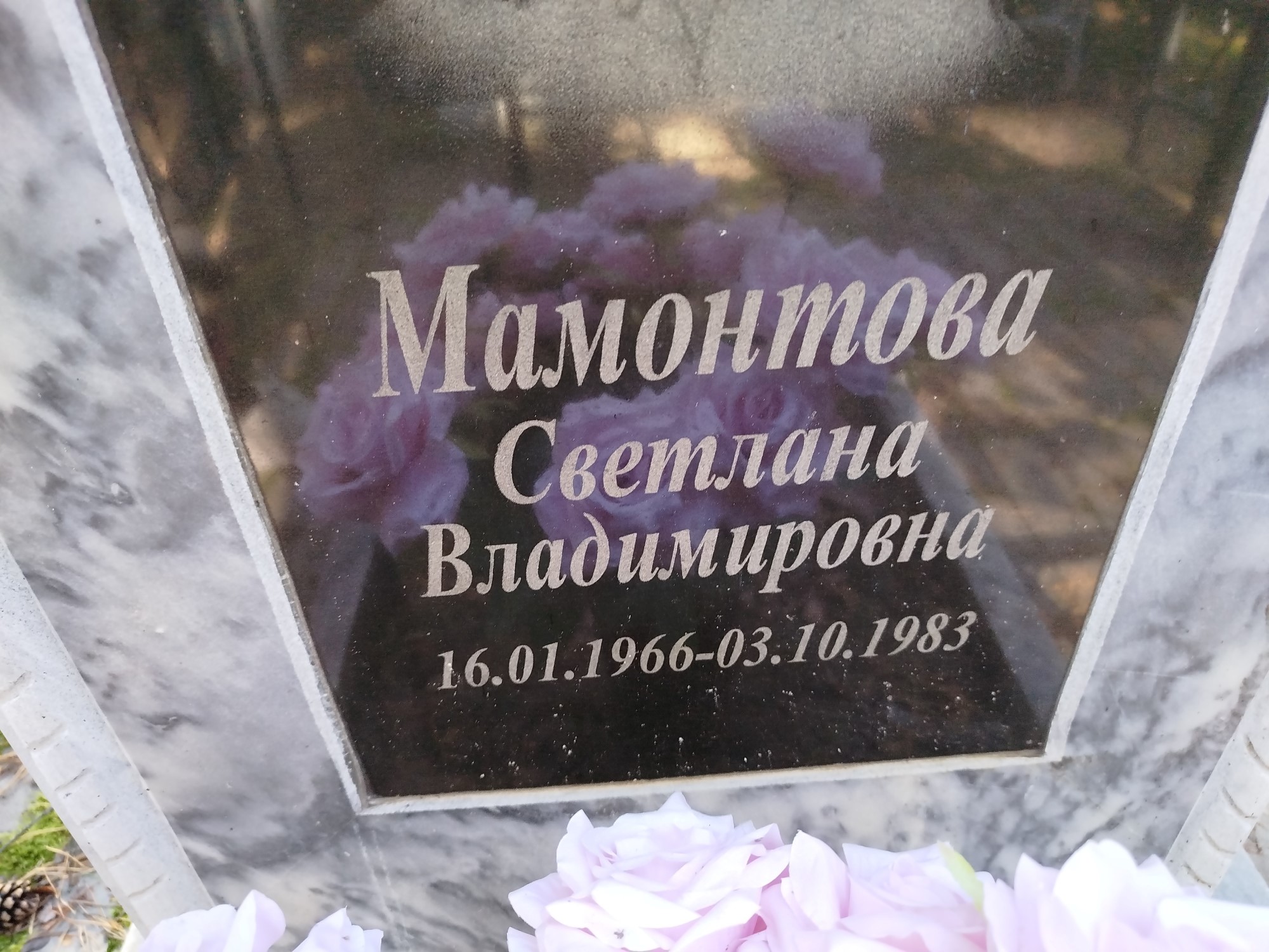 Мамонтова Светлана Владимировна