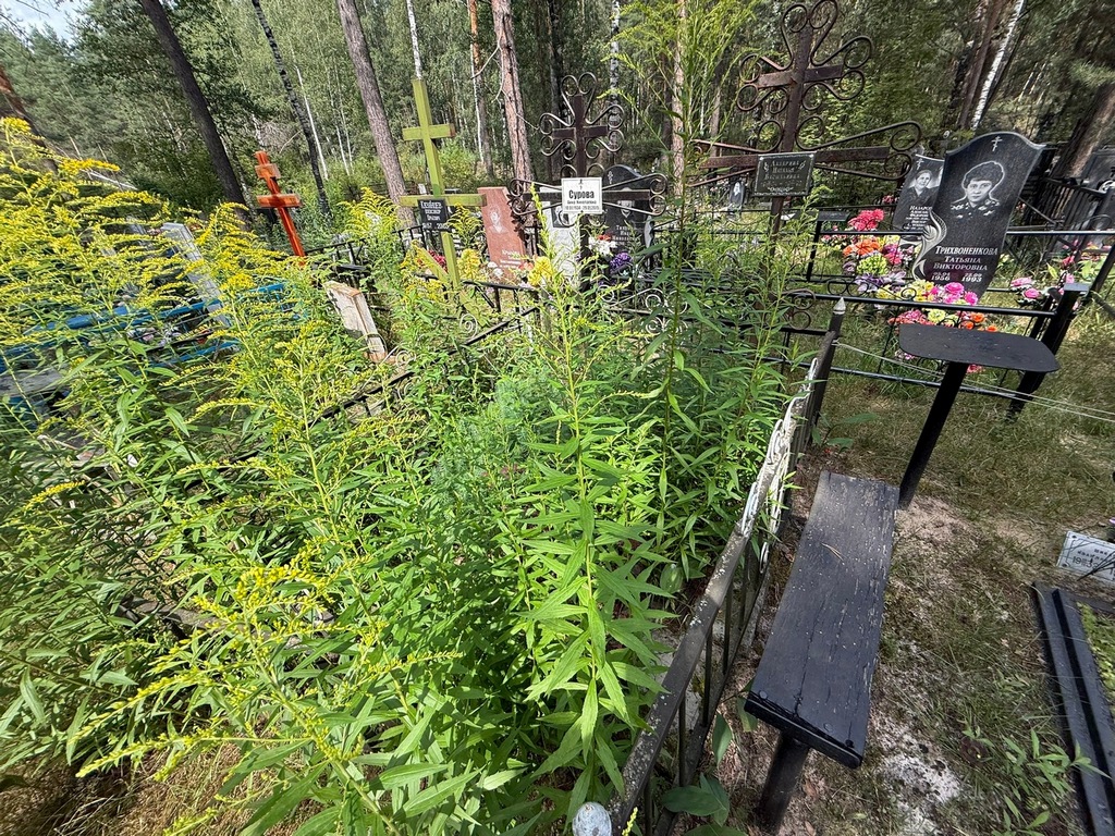 Сурова Анна Николаевна