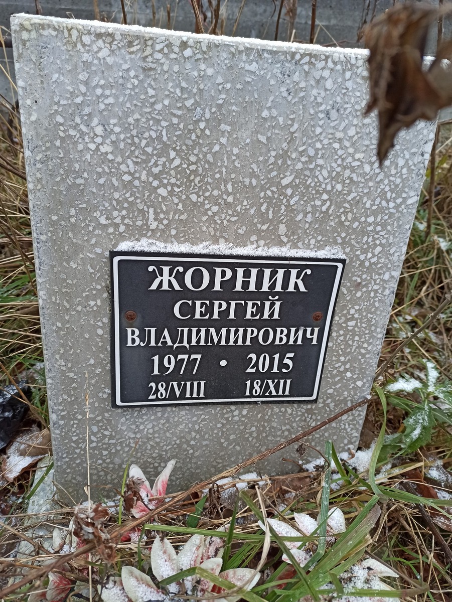 Жорник Сергей Владимирович