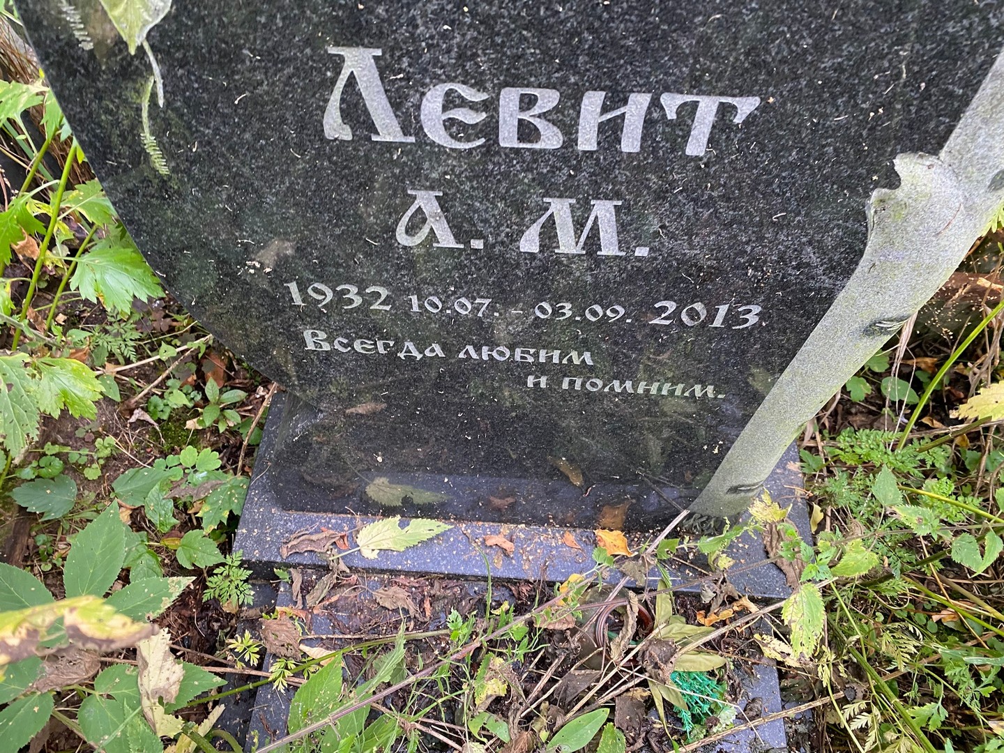 А Левит М