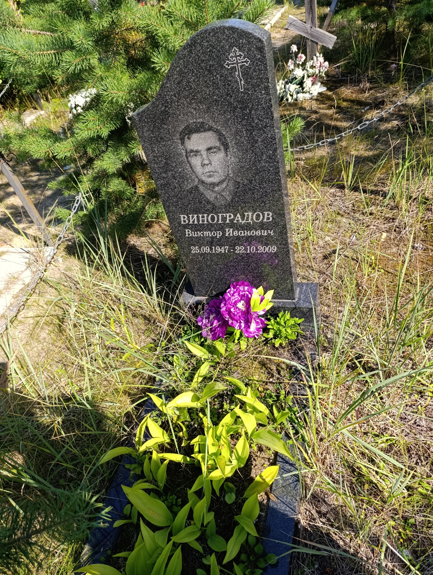 Виноградов Виктор Иванович