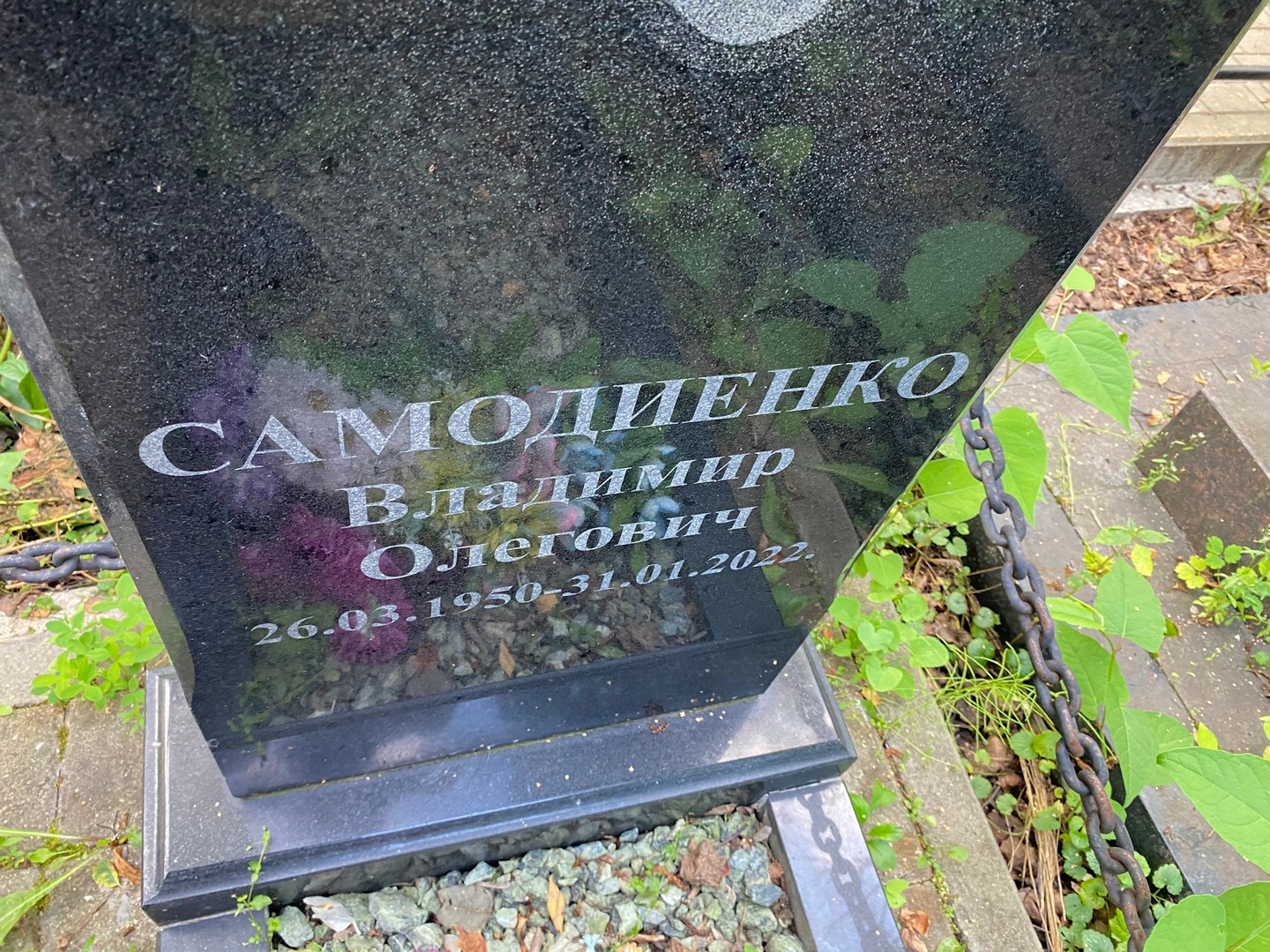 Самодиенко
