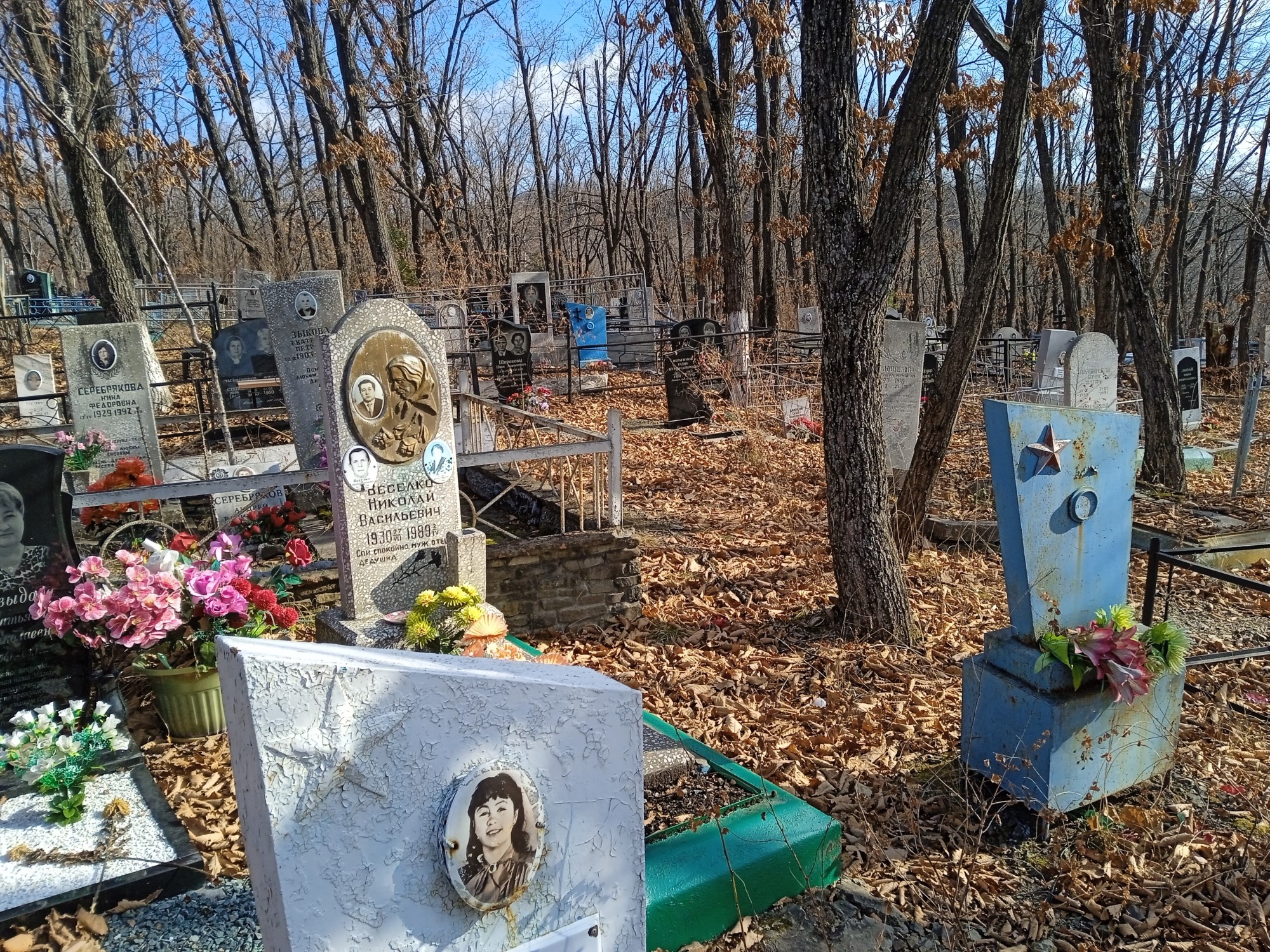 Веселко Антонина Николаевна