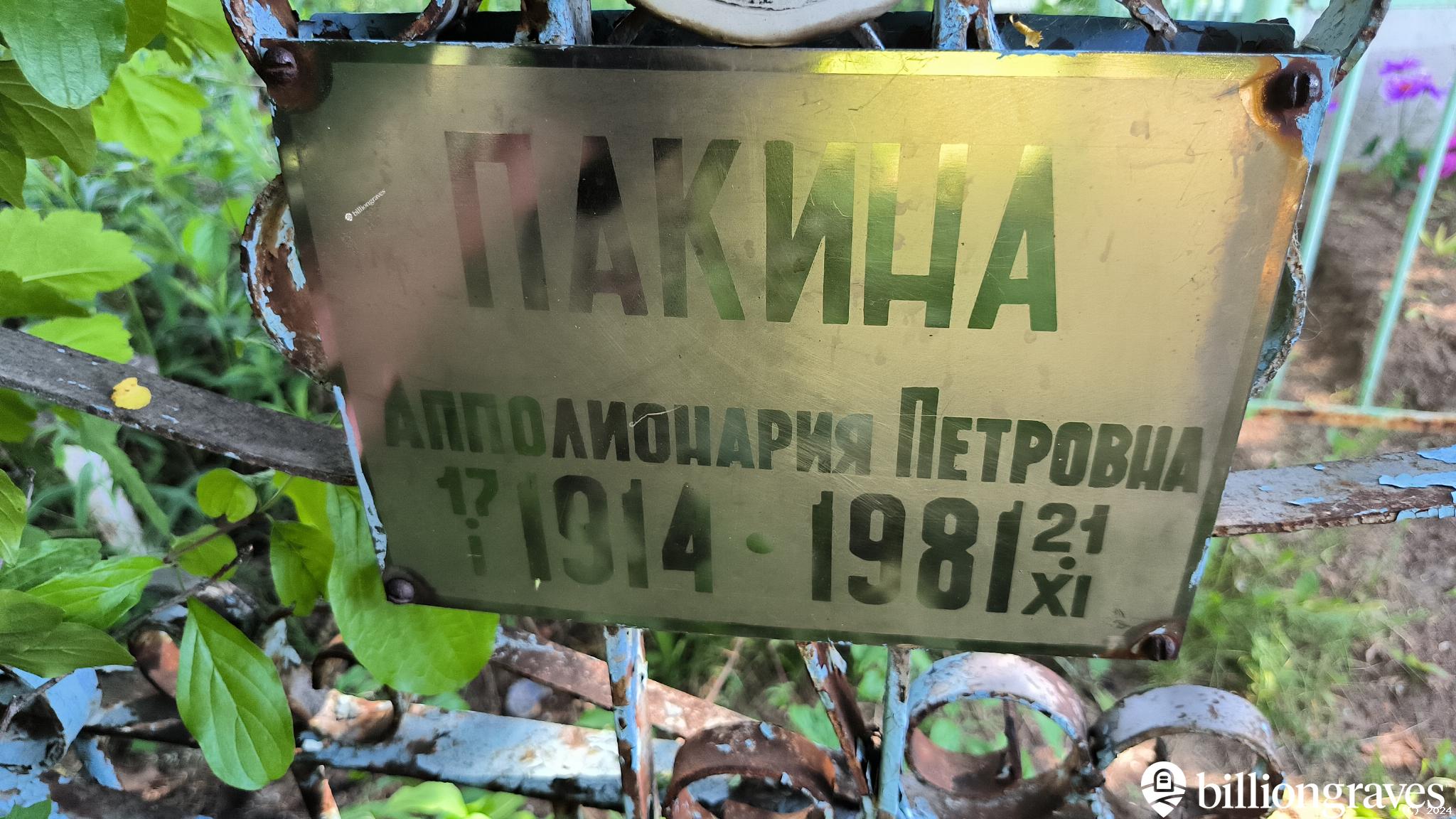 Пакина Апполионария Петровна