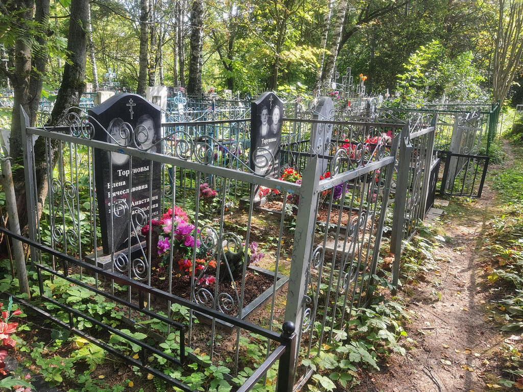 Торунова Елена Вячеславовна
