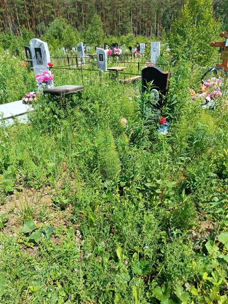 Колясников Владимир Иванович