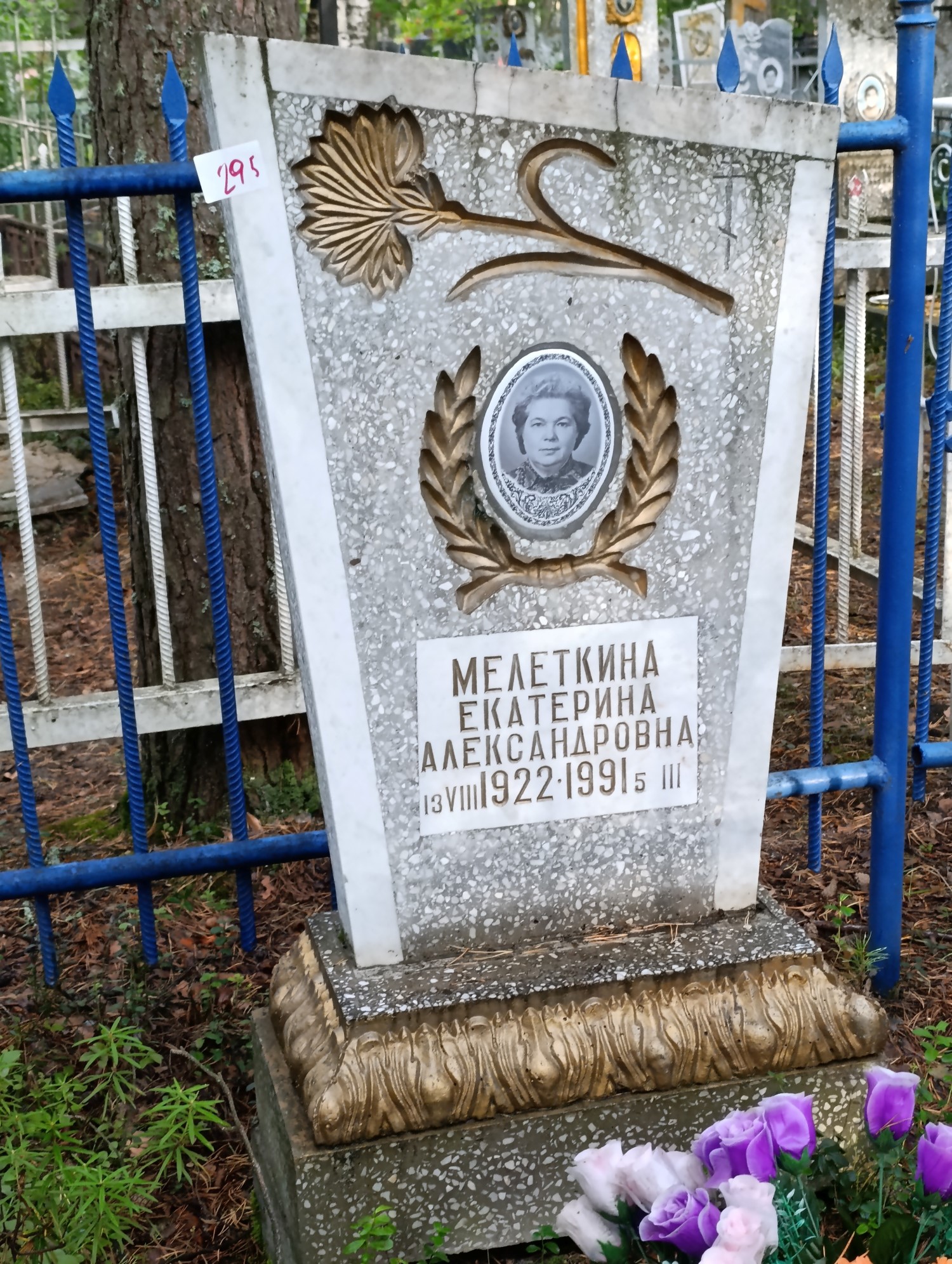 Мелеткина Укатерина Александровна