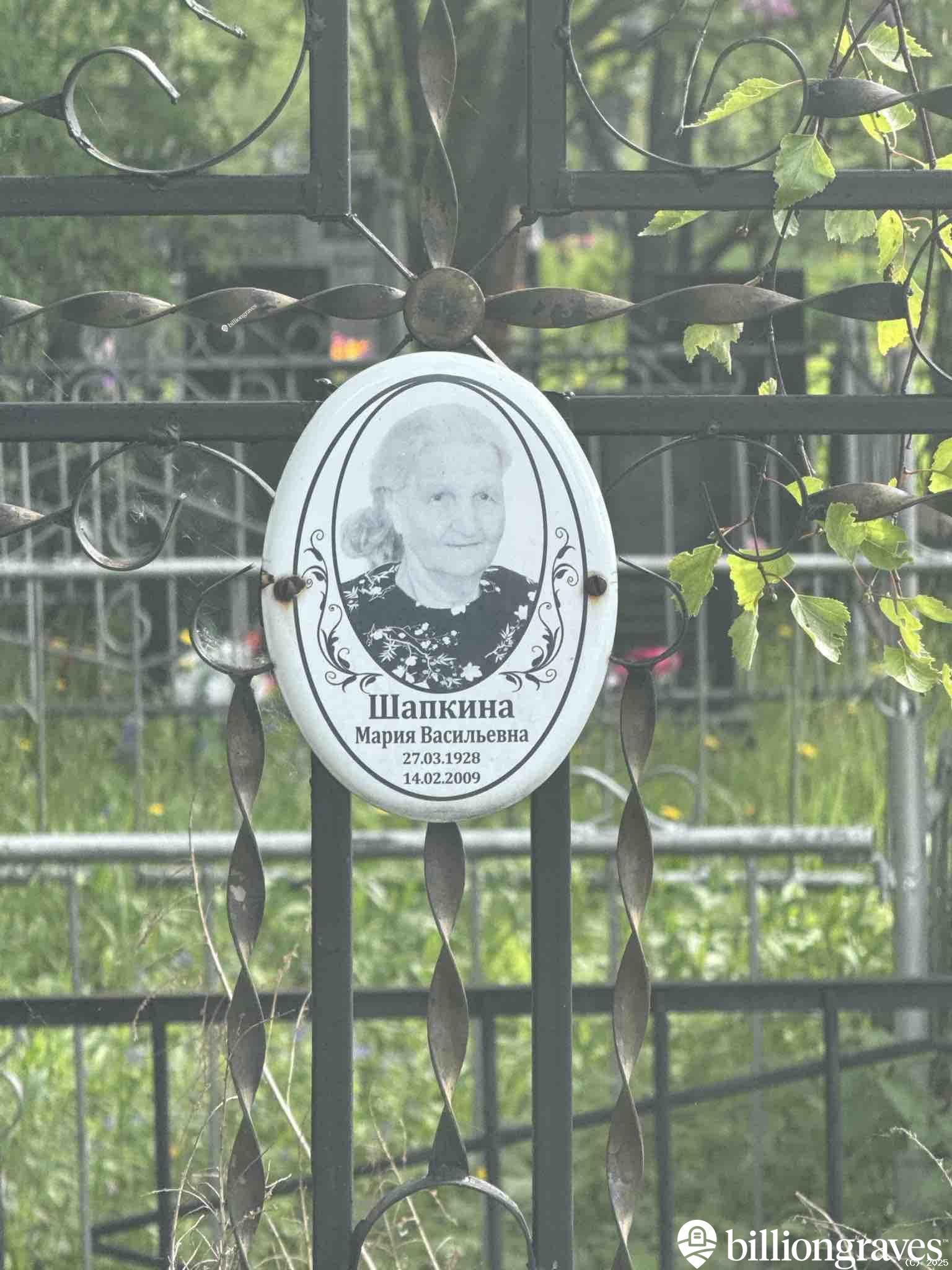 Шапкина Мария Васильевна