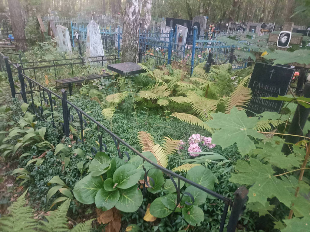 Гамова Мария Даниловна
