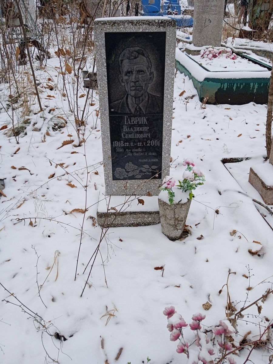 Гаврик Владимир Семенович