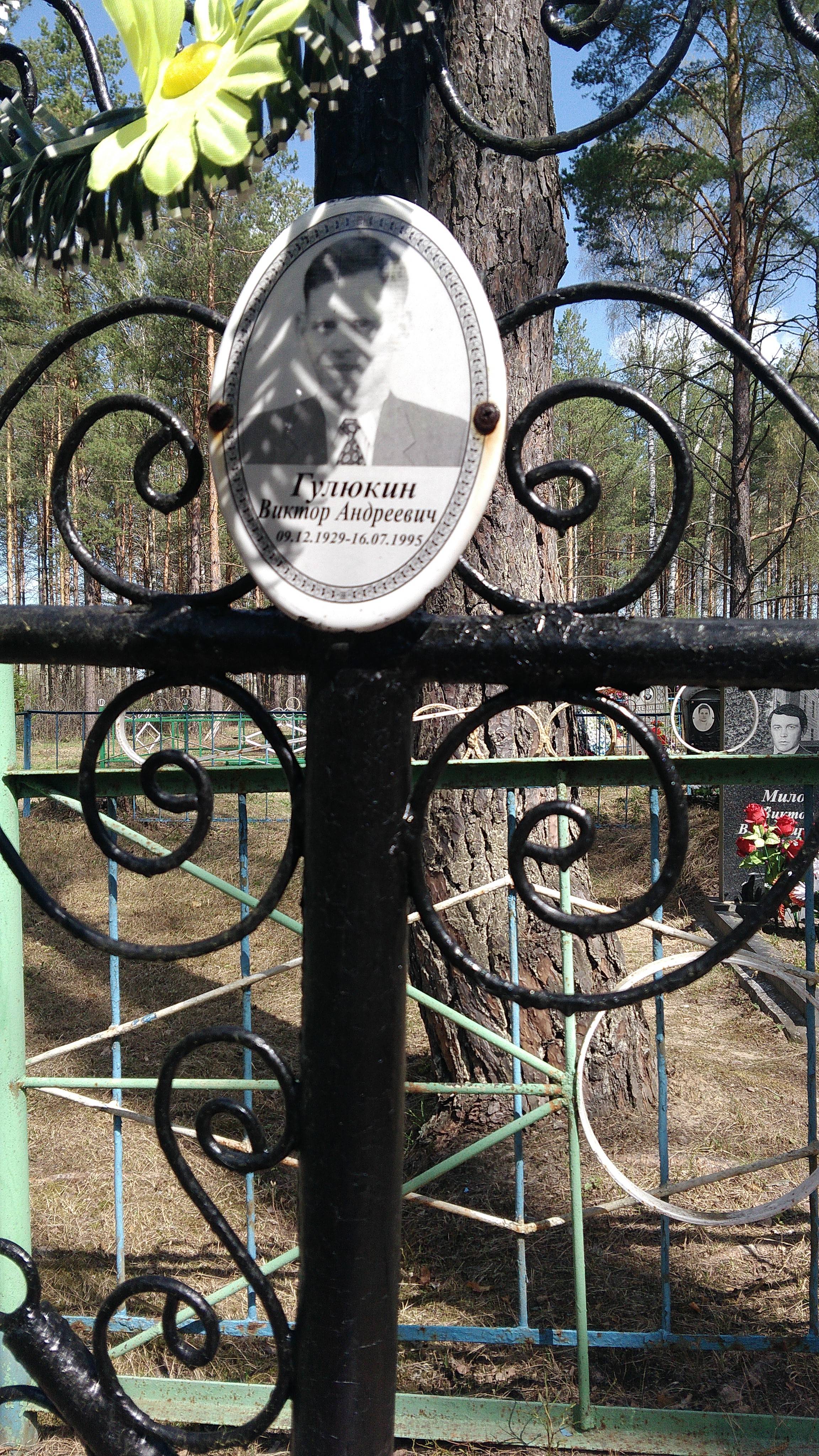Гулюкин Виктор Андреевич