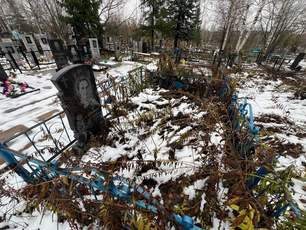 Суродина Прасковья Николаевна