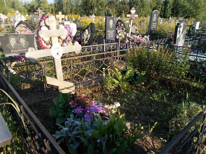 Жигилев Николай Петрович