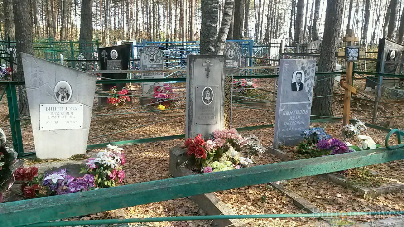 Винилова Евгения Максимовна