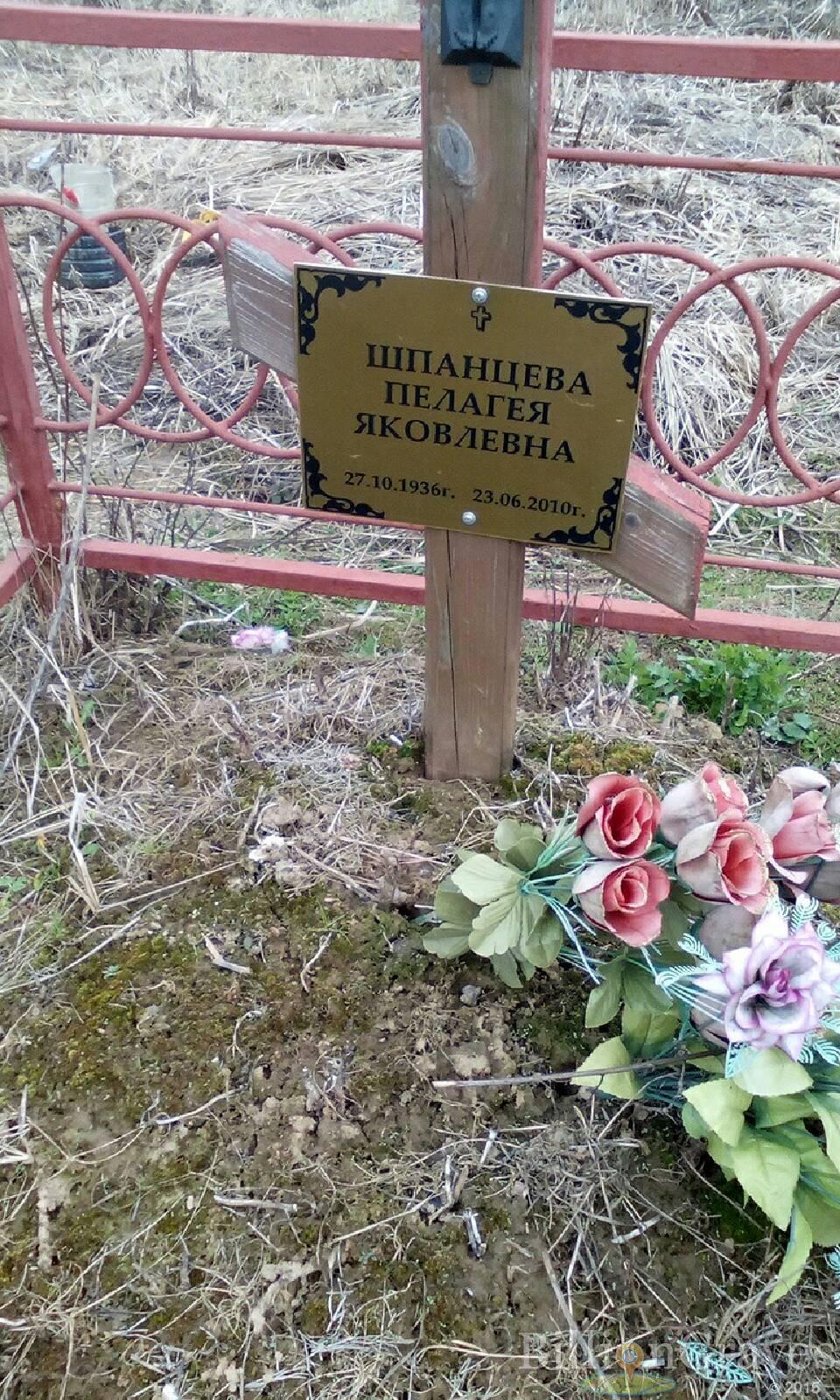 шпанцева пелагея яковлевна