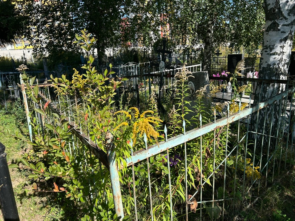 Бабурина Анна Николаевна