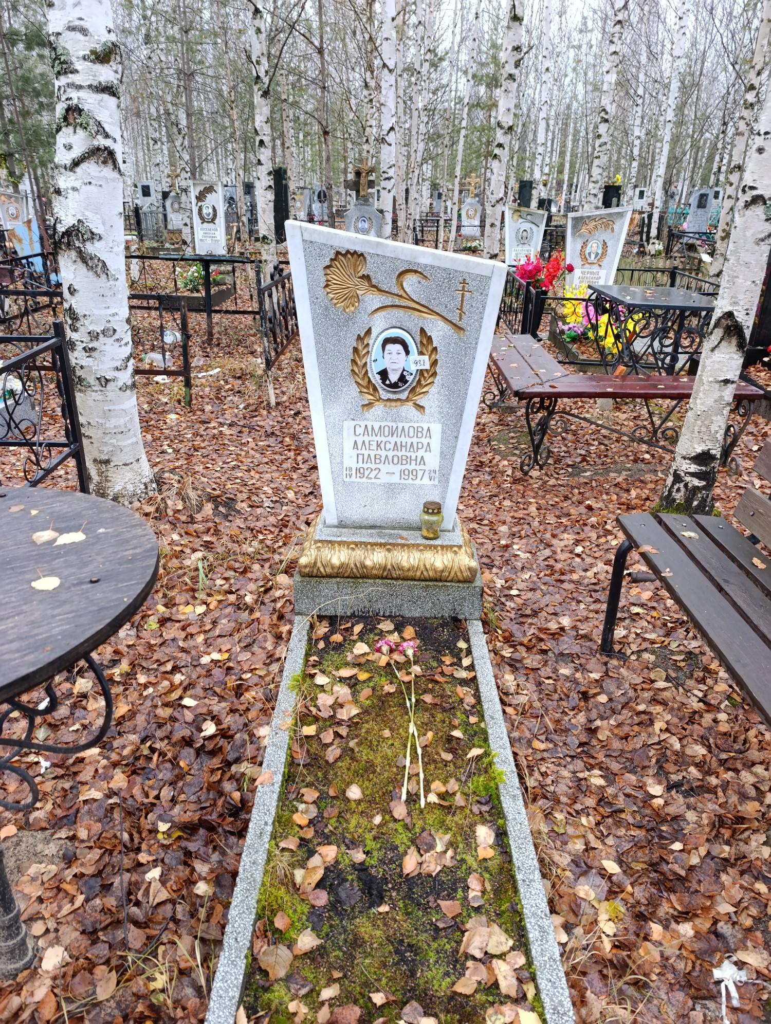 Самойлова Александра Павловна