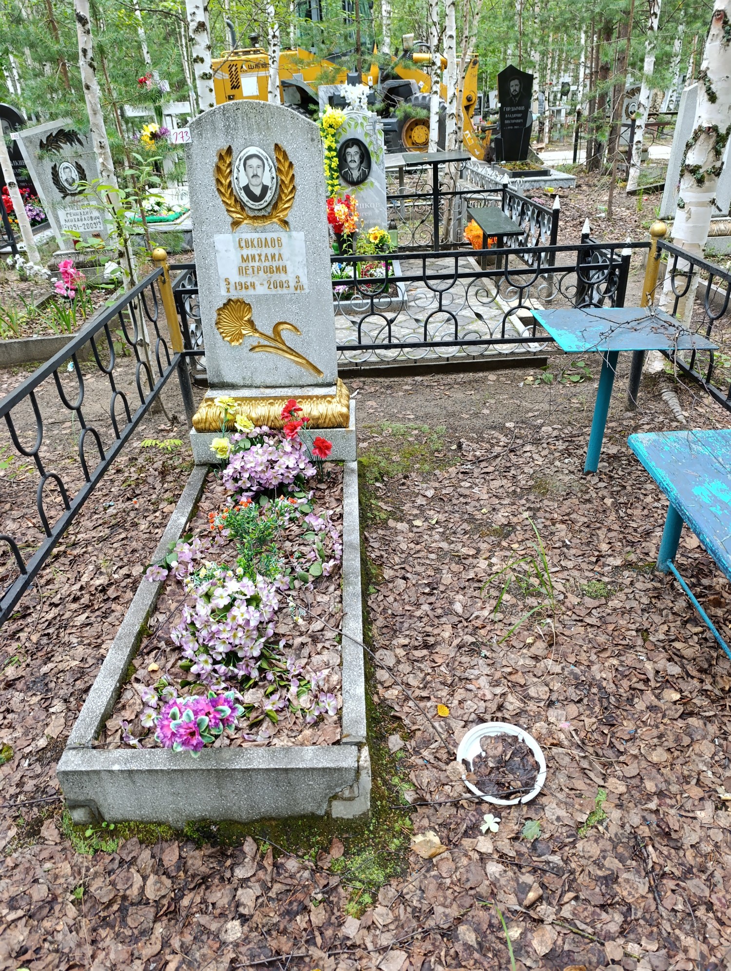 Соколов Михаил Петрович