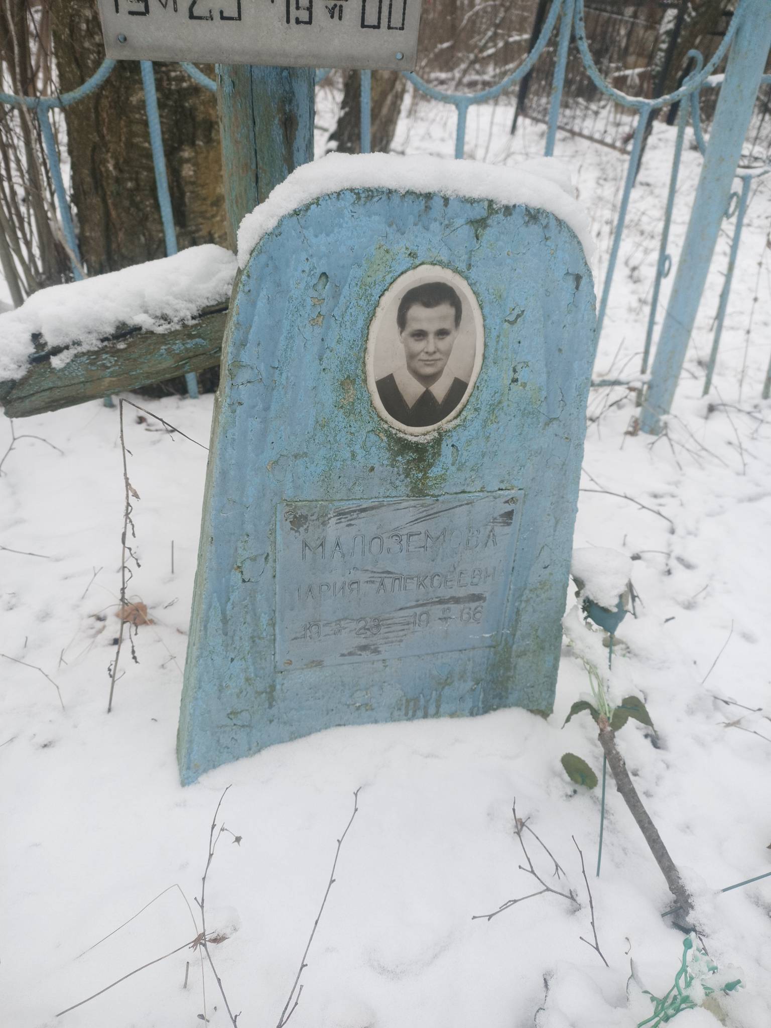 Малоземова Мария Алексеевна