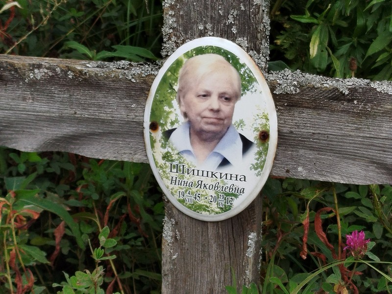Шишкина