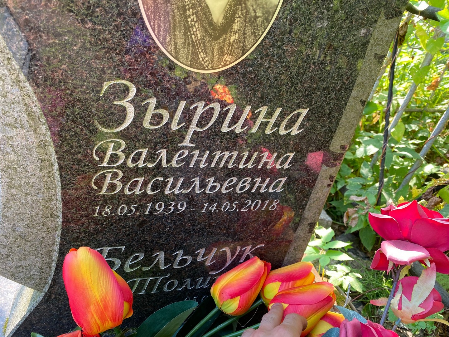 Зырина