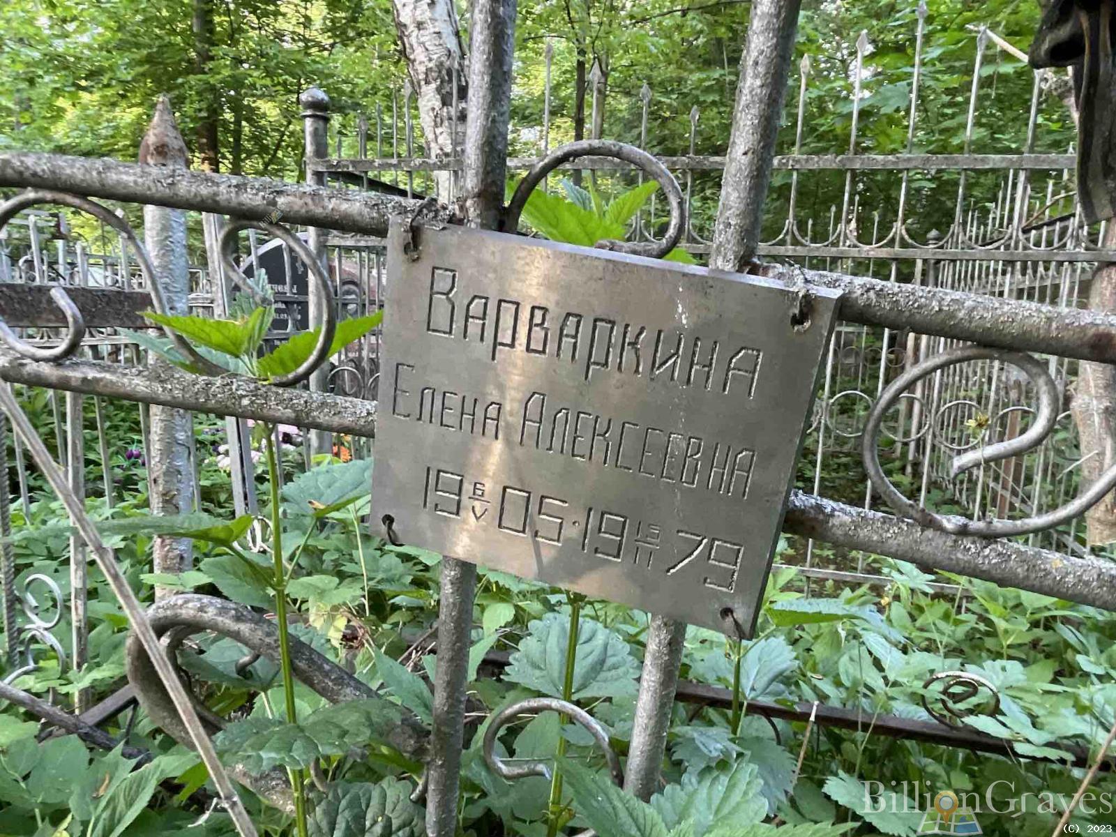 Варваркина Елена Алексеевна